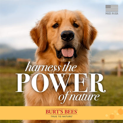 BURT BEES’S for Dogs Naturally Derived Oatmeal Shampoo with Colloidal Oat Flour and Honey 32 oz