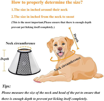 Dog E-Collar for Recovery