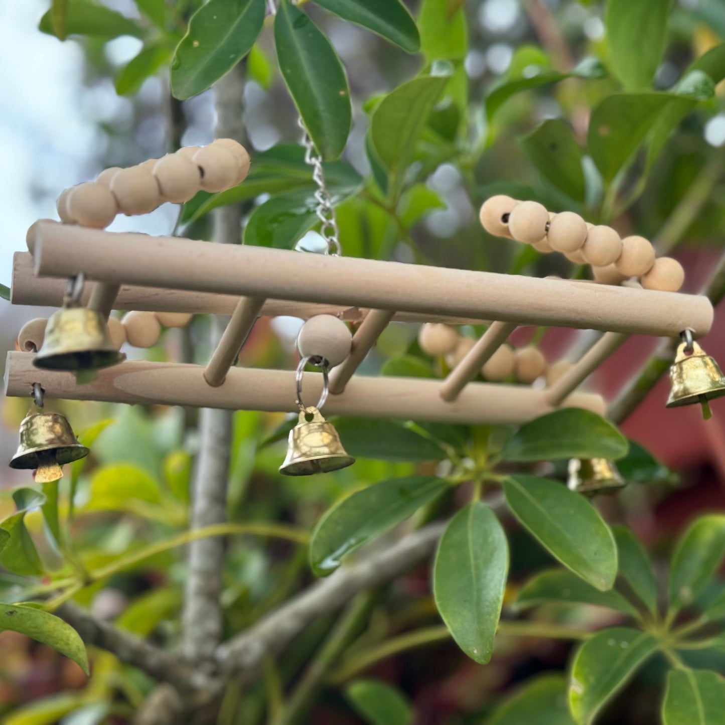 Wooden Small Bird Swing Toys