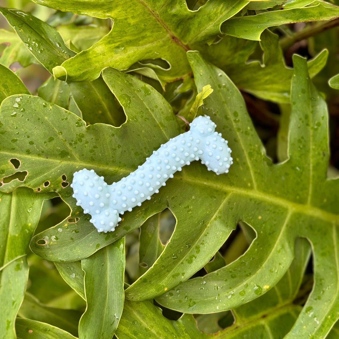 Blue Bone Puppy Teething Chew Toy 