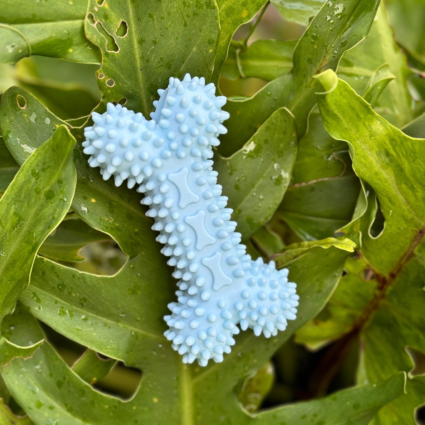 PUPPY Teething Chew Toy