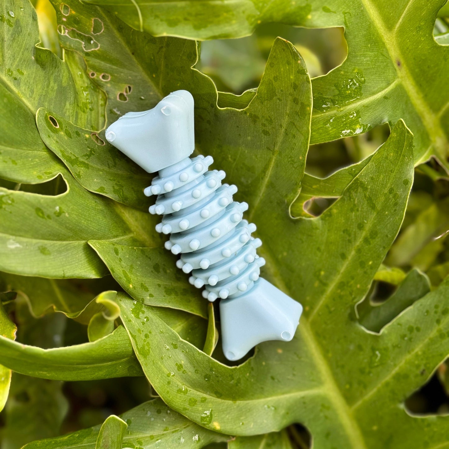 Blue Fish Bone Puppy Teething Chew Toy