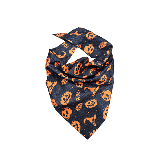Halloween Pumpkin & Hat Dog  Bandana