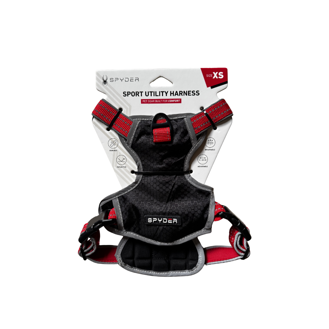Spyder sport utility harness XS